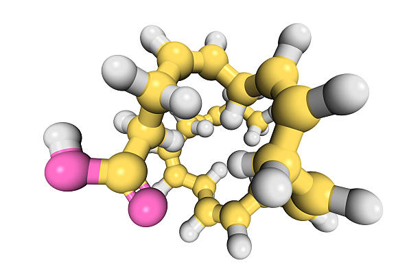 DHA Omega-3 Fatty Acid "Model of docosahexaenoic acid, or DHA" eicosapentaenoic acid stock pictures, royalty-free photos & images