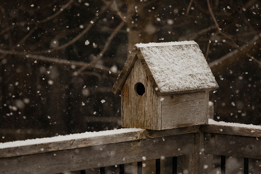 A scenic shot of a wooden, handmade birdhouse on a snowy day.