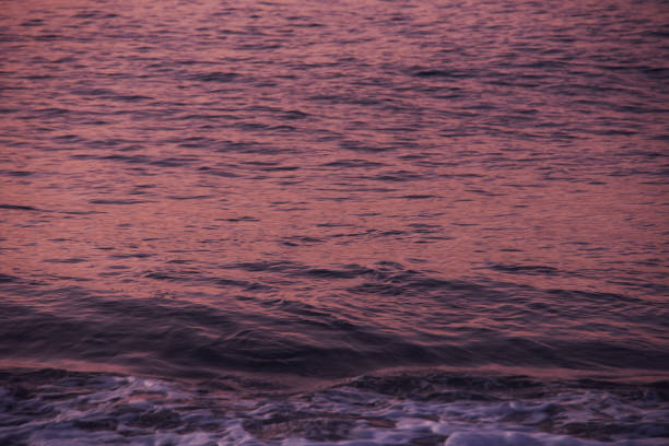 White sea wave splash water. Pacific Ocean with blue color. Purple and pink  water wave abstract pure natural texture, gel soap, background. Surface of water.