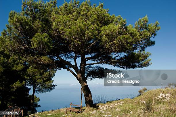 Massa Lubrensecosta Sorrentina - Fotografie stock e altre immagini di Albero - Albero, Ambientazione tranquilla, Bellezza naturale