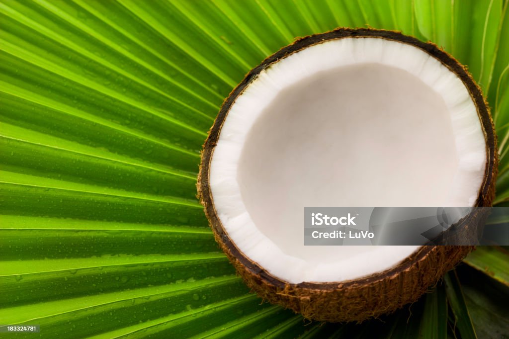 Кокос и пальмы листьев - Стоковые фото Зелёный цвет роялти-фри