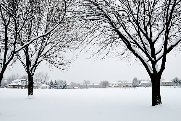 View of suburb in winter with trees.