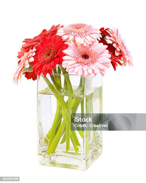 Flowers Bouquet Of Pink And Red Gerbera Daisies In Vase Stock Photo - Download Image Now