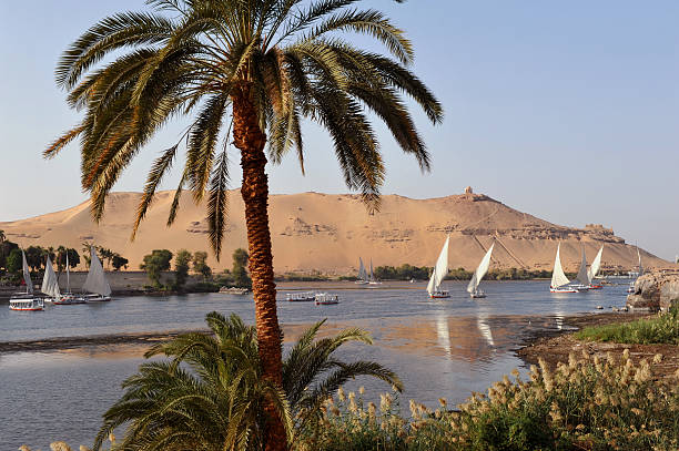 nil im aswan - felucca boat stock-fotos und bilder