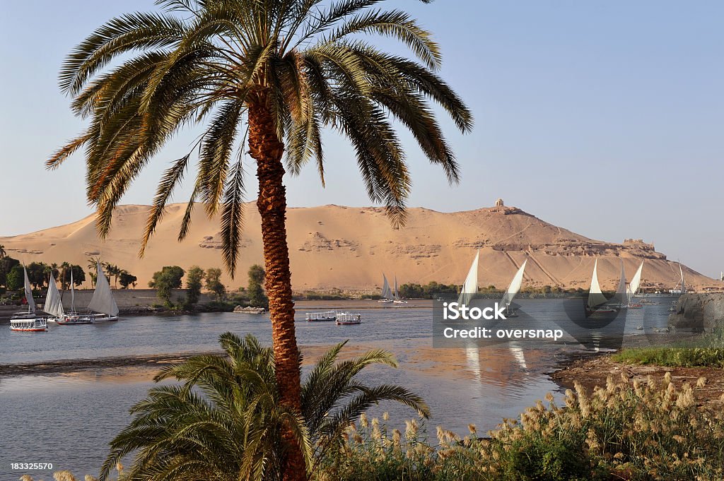 Nile at Aswan Felucca sailing boats sailing on the River Nile at Aswan, Egypt Nile River Stock Photo