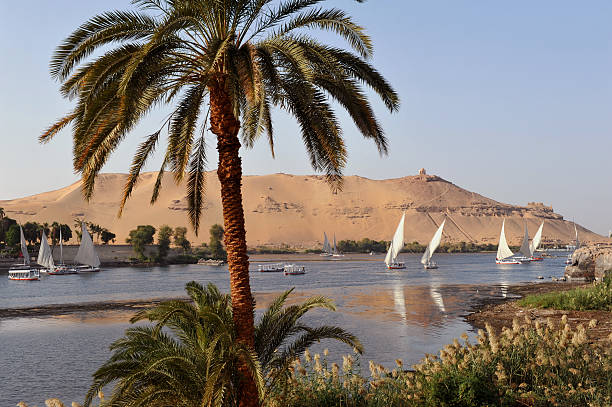 Nile at Aswan Felucca sailing boats sailing on the River Nile at Aswan, Egypt felucca boat stock pictures, royalty-free photos & images