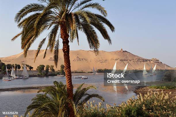 Nile At Aswan Stock Photo - Download Image Now - Nile River, Egypt, Aswan - Egypt