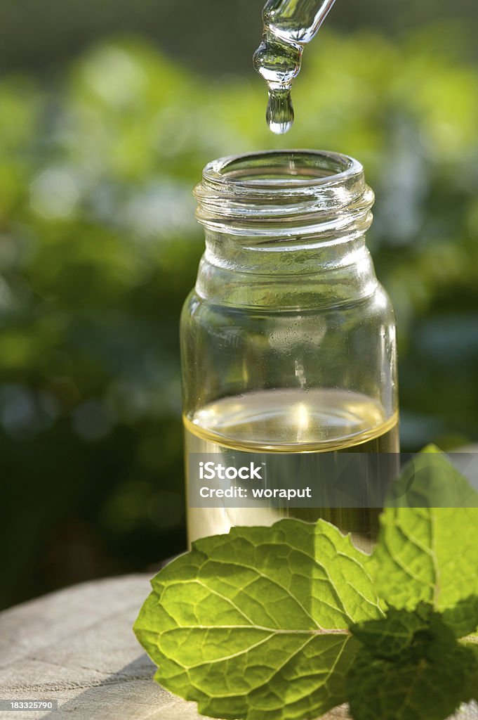 Herbal-Essence - Lizenzfrei Minze Stock-Foto