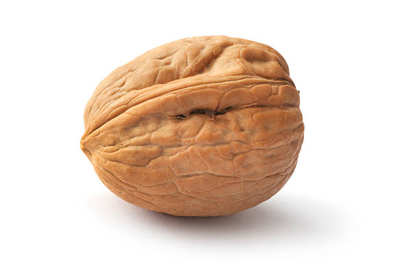 Nuts: Walnut stock photo