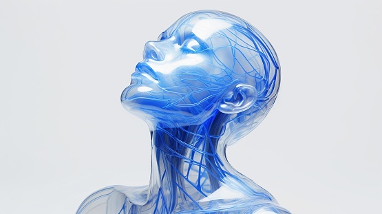 3D model of a female head made of transparent blue material on a pure white background