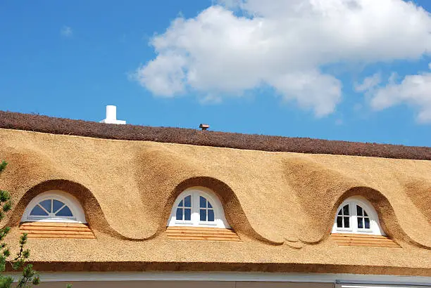 Thatched Roof with windows at Bornholm (Denmark)
