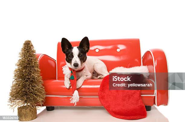 Warten Auf Santa Stockfoto und mehr Bilder von Abwarten - Abwarten, Baum, Einzelnes Tier