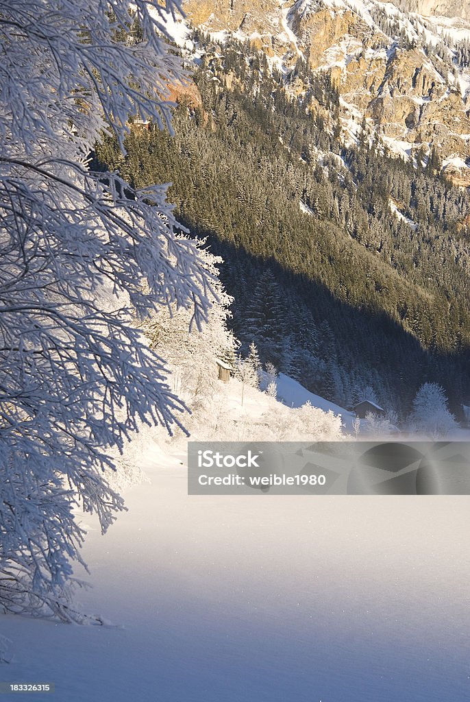 Gefrorene Büschen nächsten Nebel winter Berg Landschaft und See - Lizenzfrei Alpen Stock-Foto