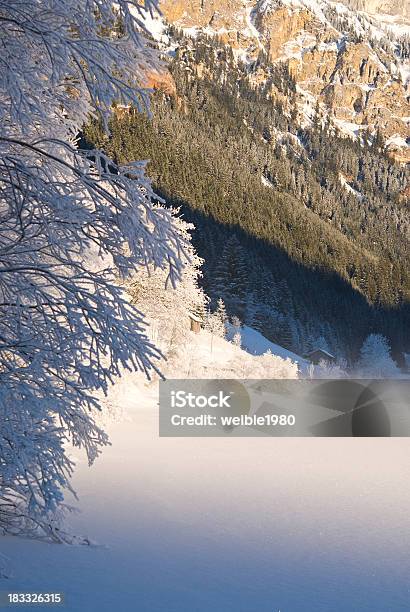 Gefrorene Büschen Nächsten Nebel Winter Berg Landschaft Und See Stockfoto und mehr Bilder von Alpen