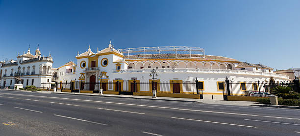 istock Arena of Seville 183327020