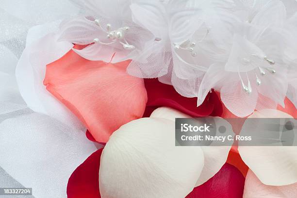 인명별 패브릭 꽃 신선한 꽃잎 0명에 대한 스톡 사진 및 기타 이미지 - 0명, 결혼식, 꽃-식물