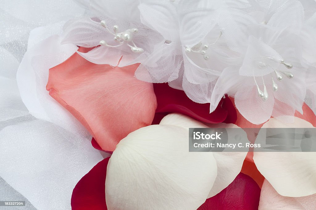 Белой ткани и украшенными свежими лепестками и цветами - Стоковые фото Абстрактный роялти-фри