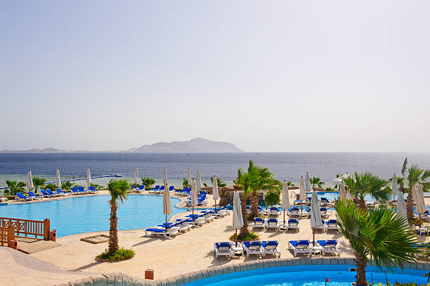 luxo hotel resort com vista da ilha titan - beach palm tree island deck chair imagens e fotografias de stock