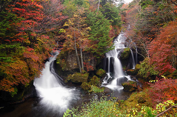 istock Ryuzu Falls in Autumn 183327778