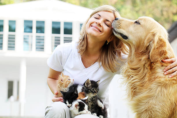 bella ragazza godendo all'aperto con gli animali domestici. - golden retriever friendship white small foto e immagini stock