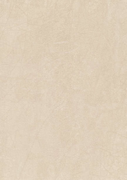 High Resolution Artist's Acrylic Primed Cotton Duck Canvas Grunge Sample