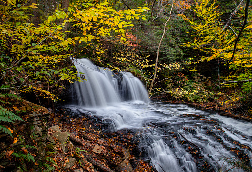 Fall colors surround Mohawk Falls at Ricketts Glen State Park, Pennsylvania