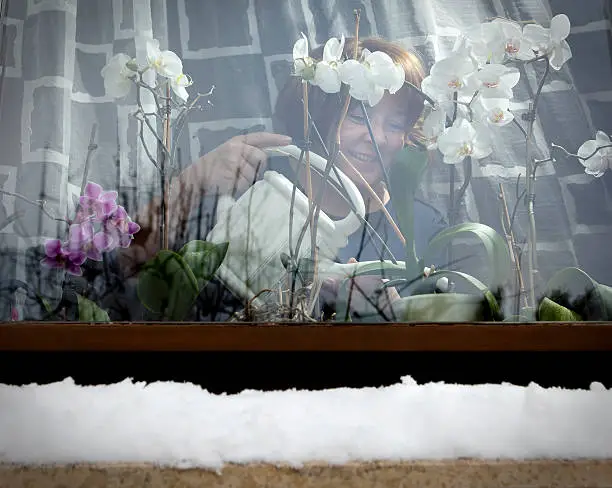 Photo of Woman watering window flowers in winter