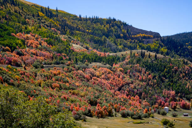 istock Autumn in Utah Countryside 1833287271