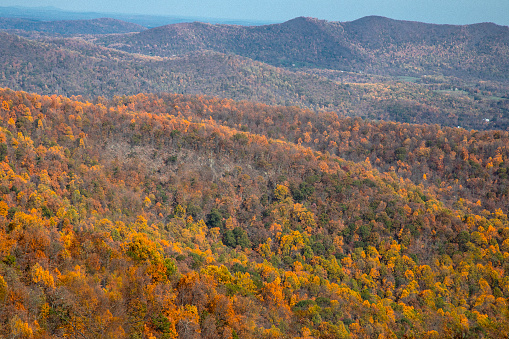 Fall colors have arrived to Virginia's Shenandoah National Park and the surrounding countryside.