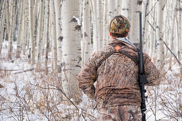Rifle Hunter in Winter Wearing Camouflage.  Man stalks Wapiti in aspen forest with fresh winter snow.  Captured as a 12-bit Raw file. Edited in ProPhoto RGB color space.