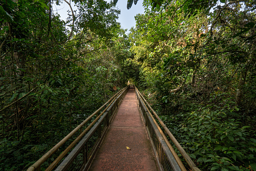 Elevated walkway around the breathtaking mighty Iguazu Falls in Iguazu National Park on the Boarder of Argentina and Brazil, South America