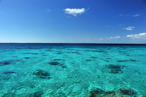 istock Turquoise water and blue sky, Caribbean 183329940