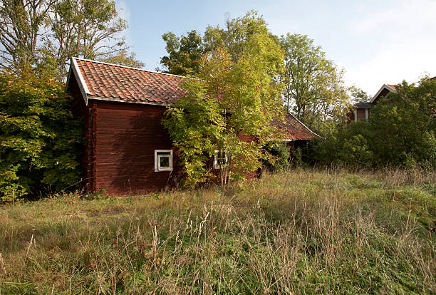 istock Red cottage in the forrest 183330174