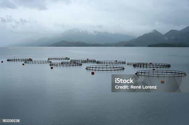 Fish Farm Stock Photo - Download Image Now - Chile, Fish Farm, Aisen del General Carlos Ibanez del Campo