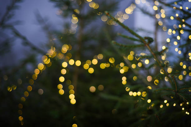 istock Black background with golden light effects. Horizontal background with blur bokeh effects for christmas time. Special occasion concept with space for text. 1833302499