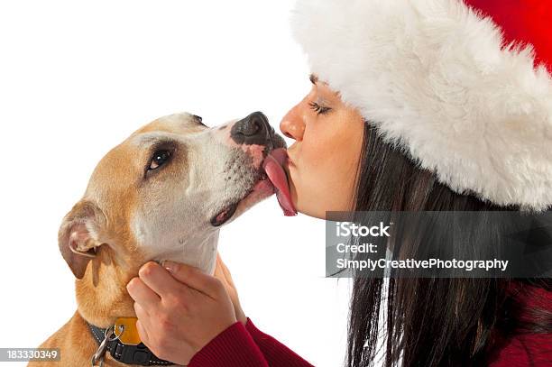 Dog Lick At Christmas Stock Photo - Download Image Now - Dog, Kissing, One Woman Only