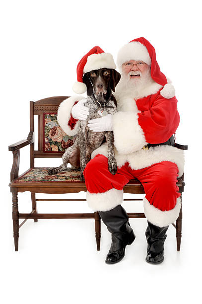 père noël avec un chien - santa dog photos et images de collection