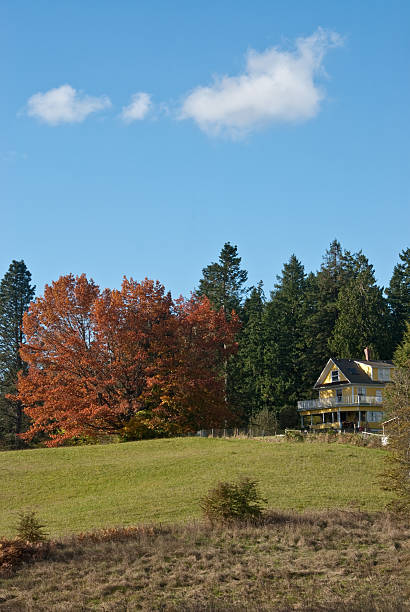 istock Old Yellow Farmhouse in the Fall 183330684