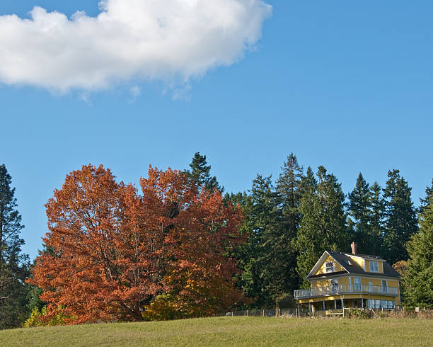 istock Old Yellow Farmhouse in the Fall 183330690