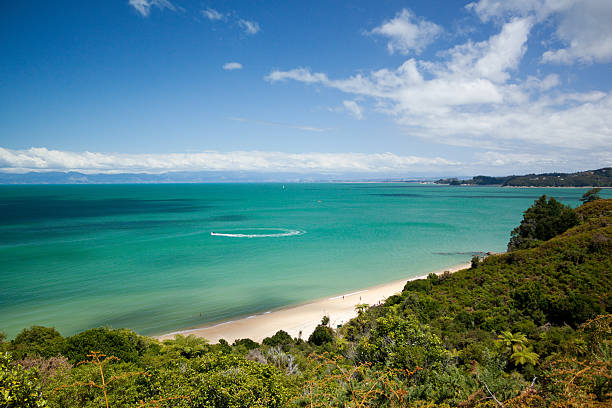 park narodowy abel tasman beach - abel tasman national park zdjęcia i obrazy z banku zdjęć