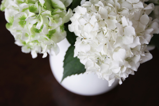 Centerpiece of white hydrangea bouquet. From above.