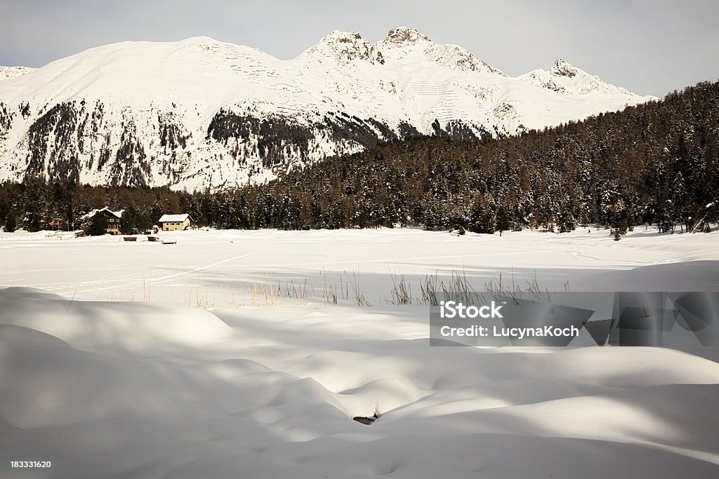 Soirée au Lej da Staz - Photo de Alpes européennes libre de droits