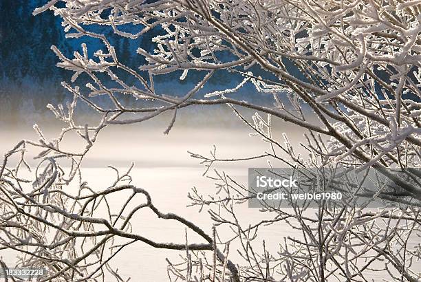 Nebel Winter In Einer Baum Lake Stockfoto und mehr Bilder von Ast - Pflanzenbestandteil - Ast - Pflanzenbestandteil, Baum, Eingefroren