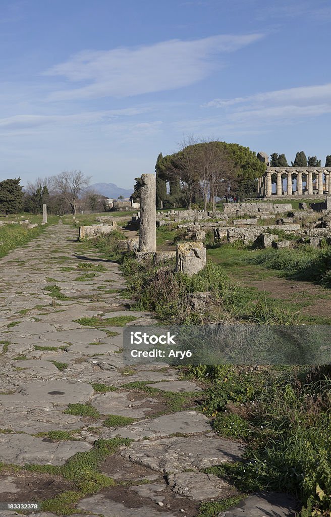 Tempio di Atena (Paestum, Italia - Foto stock royalty-free di Antica Grecia