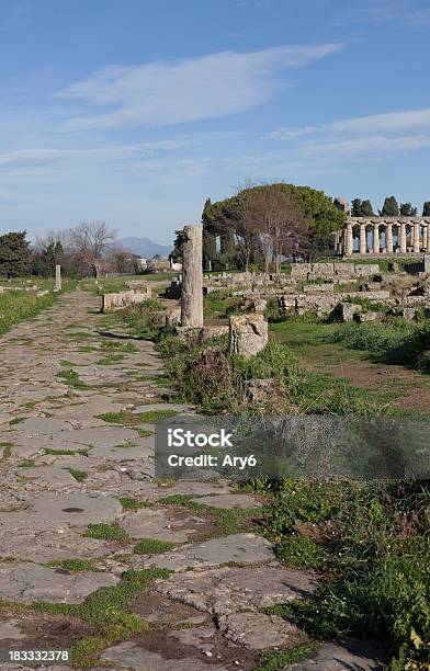 Tempio Di Atena Paestum Italia - Fotografie stock e altre immagini di Antica Grecia - Antica Grecia, Antica Roma, Archeologia