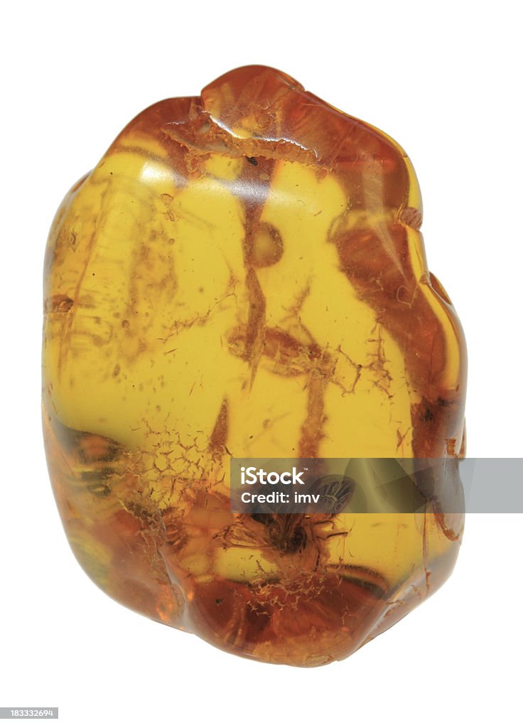 Baltic ambra con insetto interno - Foto stock royalty-free di Ambra