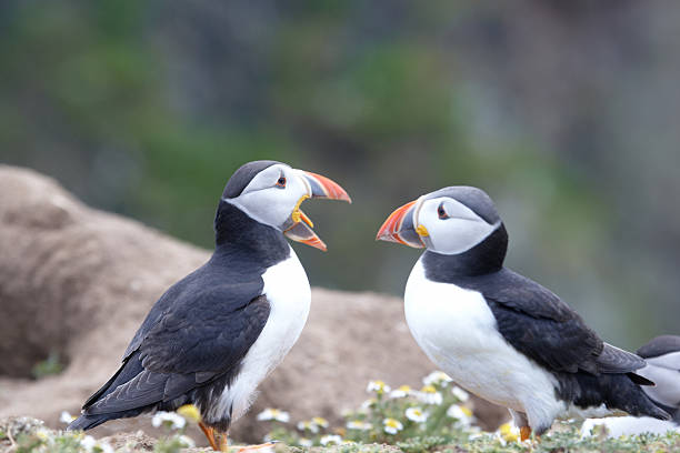 istock I'm not one to gossip but .. 183332831