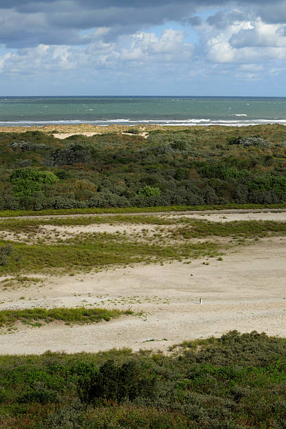 istock sand dunes along the Dutch coast 183332877