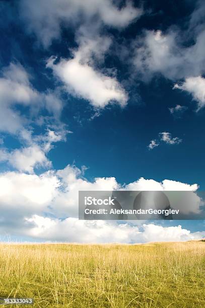 Foto de Bela Cloudscape Sobre Campo Amarelo e mais fotos de stock de Ajardinado - Ajardinado, Amarelo, Atividade