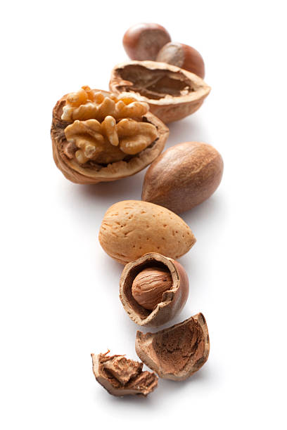tuercas: colección - walnut pod nutshell cross section fotografías e imágenes de stock